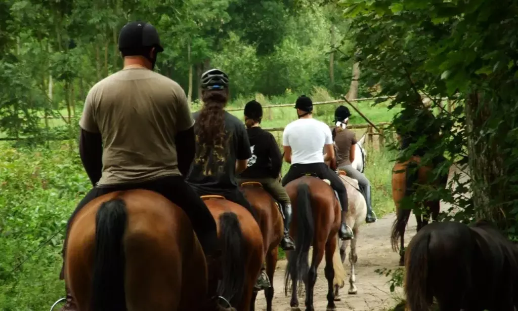Nauka jazdy konnej dla dzieci i dorosłych w malowniczej scenerii w Szkole Jazdy Konnej PATATAJ (do -51%) - Second Medium