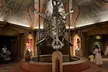 Explore Dubai’s Lost Chambers Aquarium: Tickets for One, Two, or Four at Royal Smart Tourism (Up to 33% Off) - Image 6