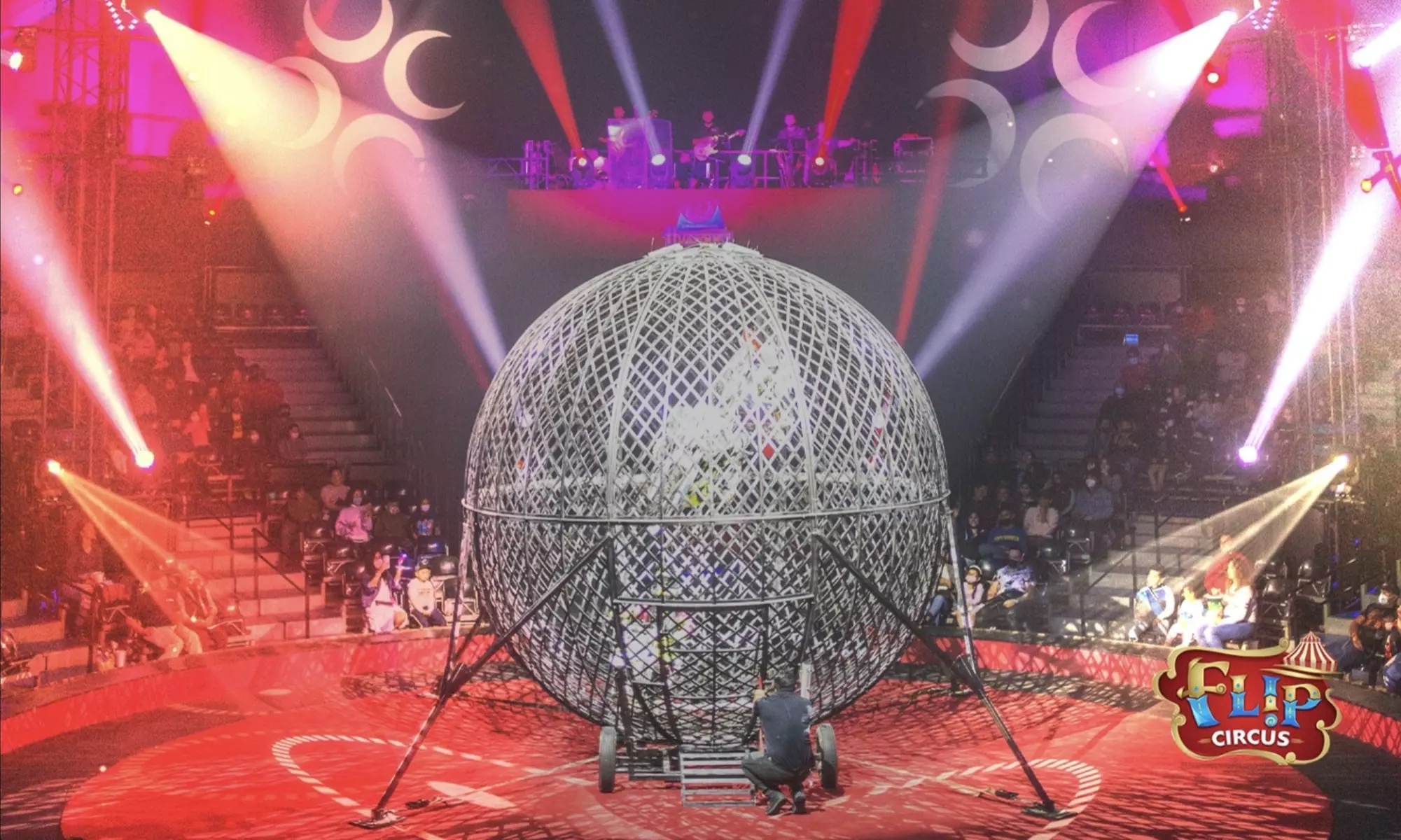Flip Circus (October 28 - November 14) - Second Medium