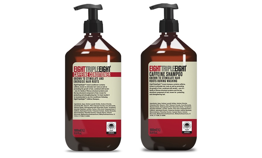 Image 16: Shampoo and Conditioner 1L