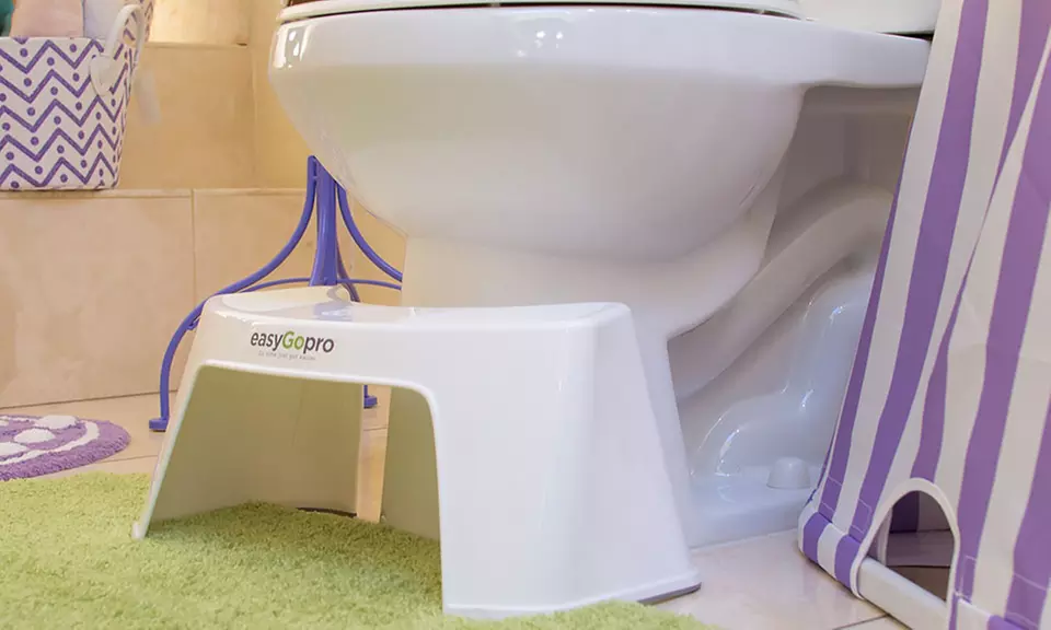 easyGopro Discreet Ergonomic Toilet Stool - Primary Image