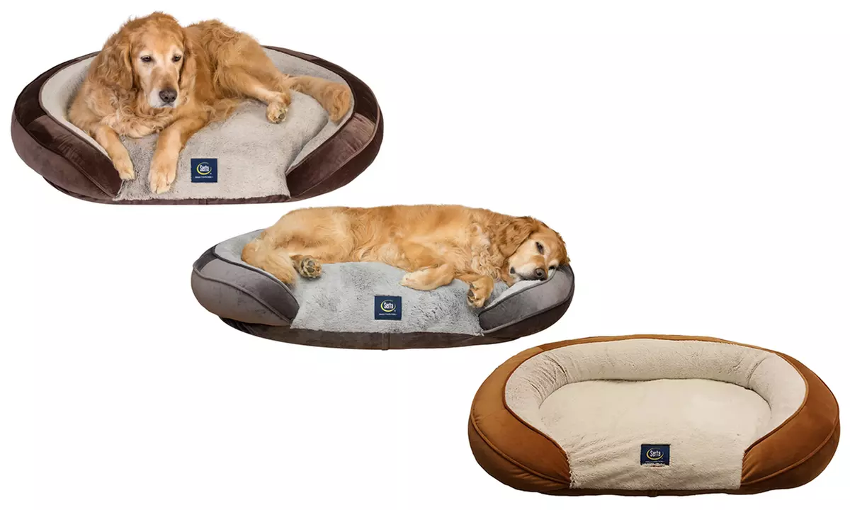 Serta Shredded Foam Oval Couch Dog Bed - Primary Image