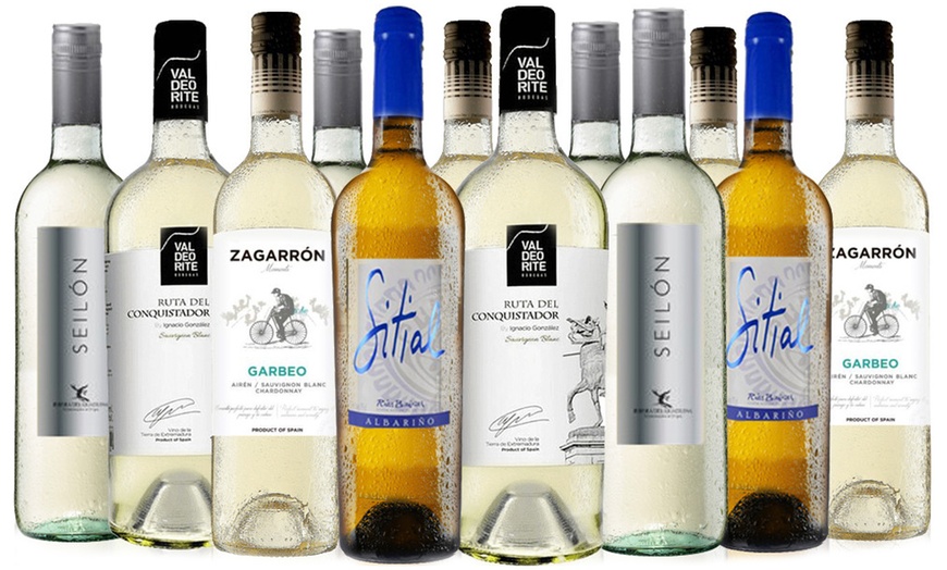 Image 1: Spanish White Wines Selection