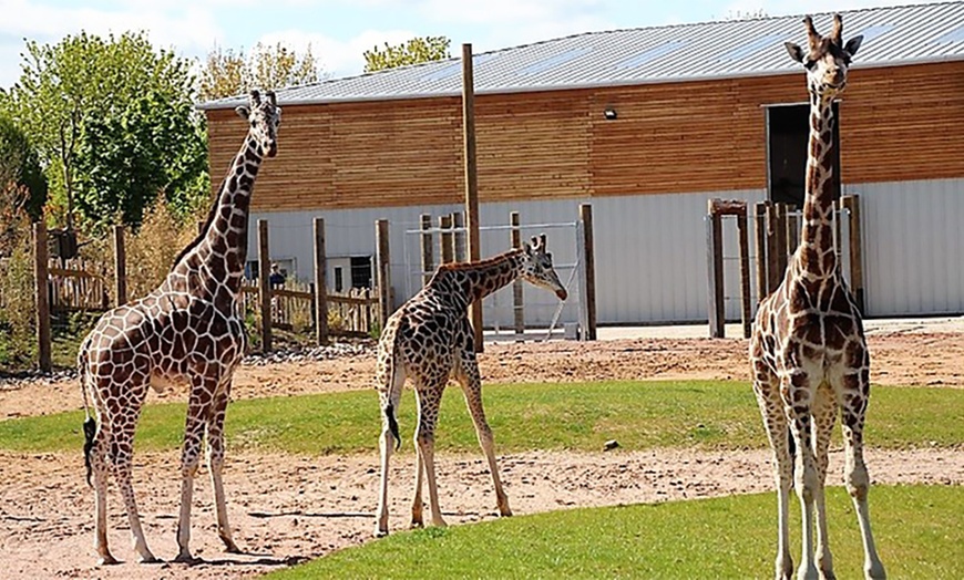 Image 12: Leicestershire: Room Stay for Up to 4 with Zoo Tickets