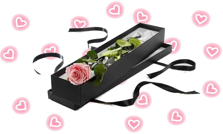 Image 2: Special Valentine Gift! 50% Off single Rose Box!