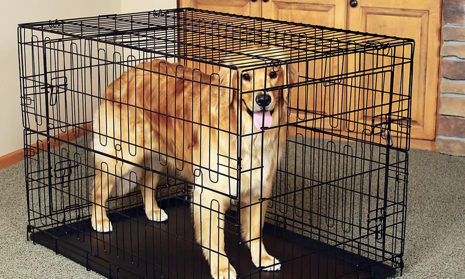 Carlson Black Wire Dog Crates - Primary Image