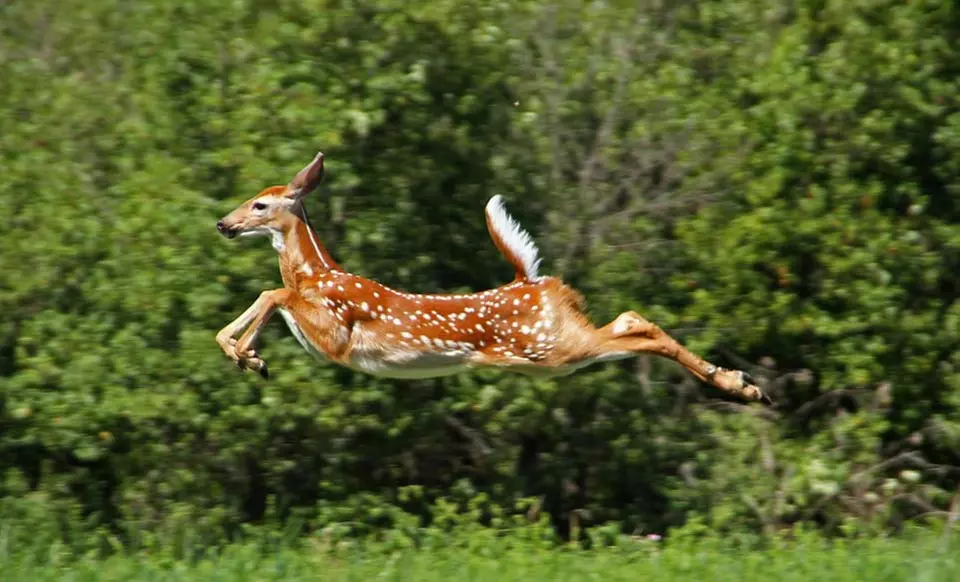 Sigma 18–250mm Macro Camera Lens with Bundle Option (Up to 59% Off). Free Shipping and Returns. - Second Medium