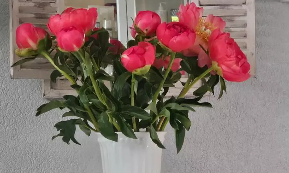 Permanent Make-up für Lidstrich oder Lippen inkl. Nachbehandlung