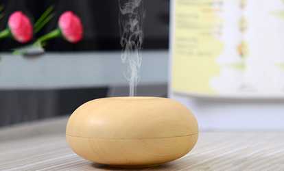 Ultra Quiet Cool Mist Humidifier