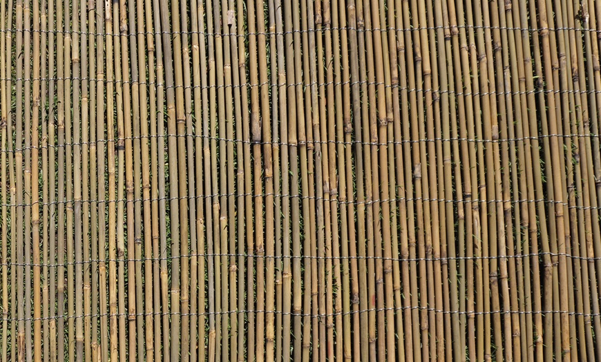 Image 4: Bamboo Cane Screen Roll