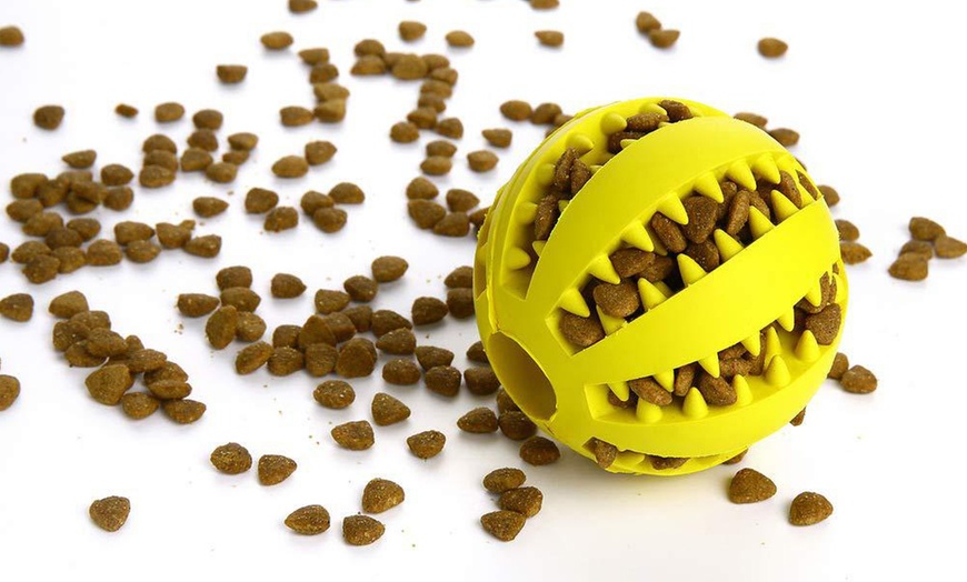 Image 9: Dog Chewing Ball Toy