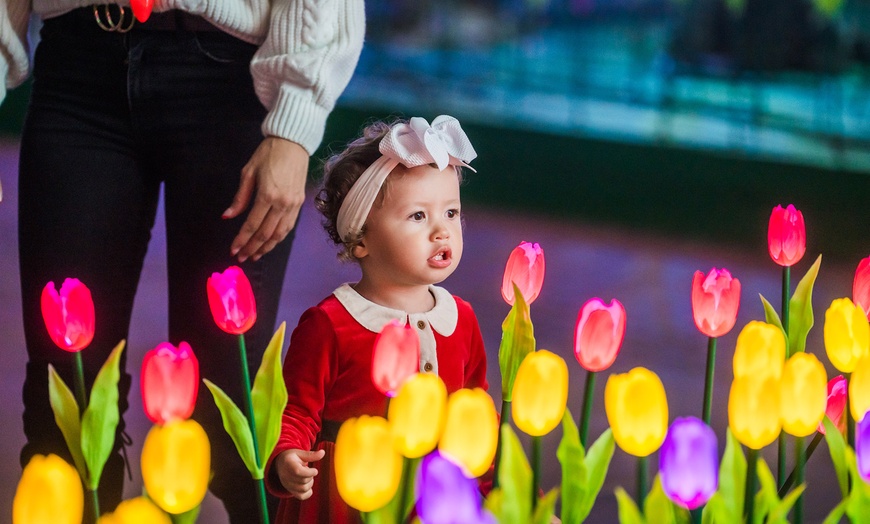 Image 8: Holiday Lights and Wine Walk Adventure for Two at Coastal Christmas