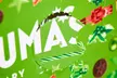 Unwrap festive joy with Montezuma’s Organic Milk & Dark Chocolate Advent Calendars - Up to 50% off! - Image 3