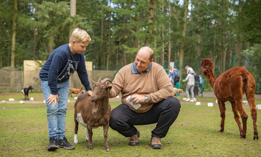 Image 7: Ticket Ritter Rost Magic Park