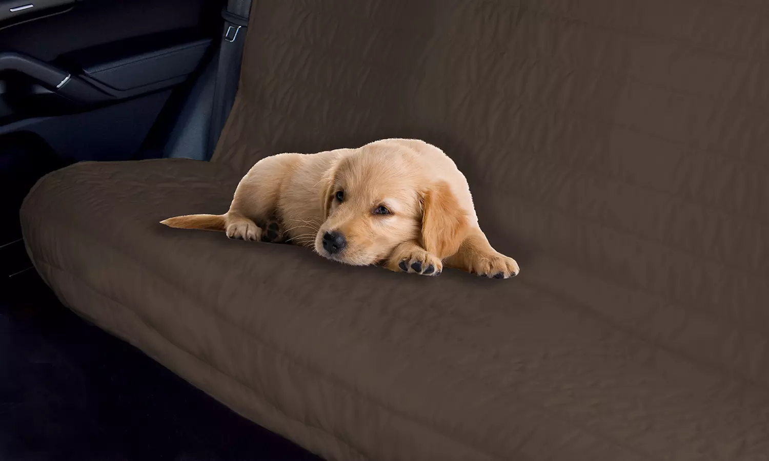 Housse auto protection animaux pour banquette arrière - Primary Image