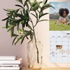 Image 2: Fotocalendario de pared personalizable en formato A4 o A3