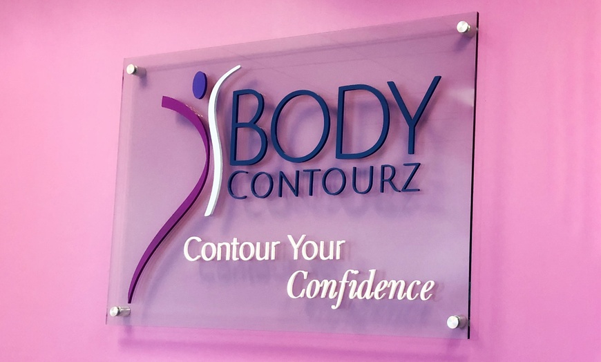 Image 11: Fat Buster or The Works – Body Consultation, Analysis, or More