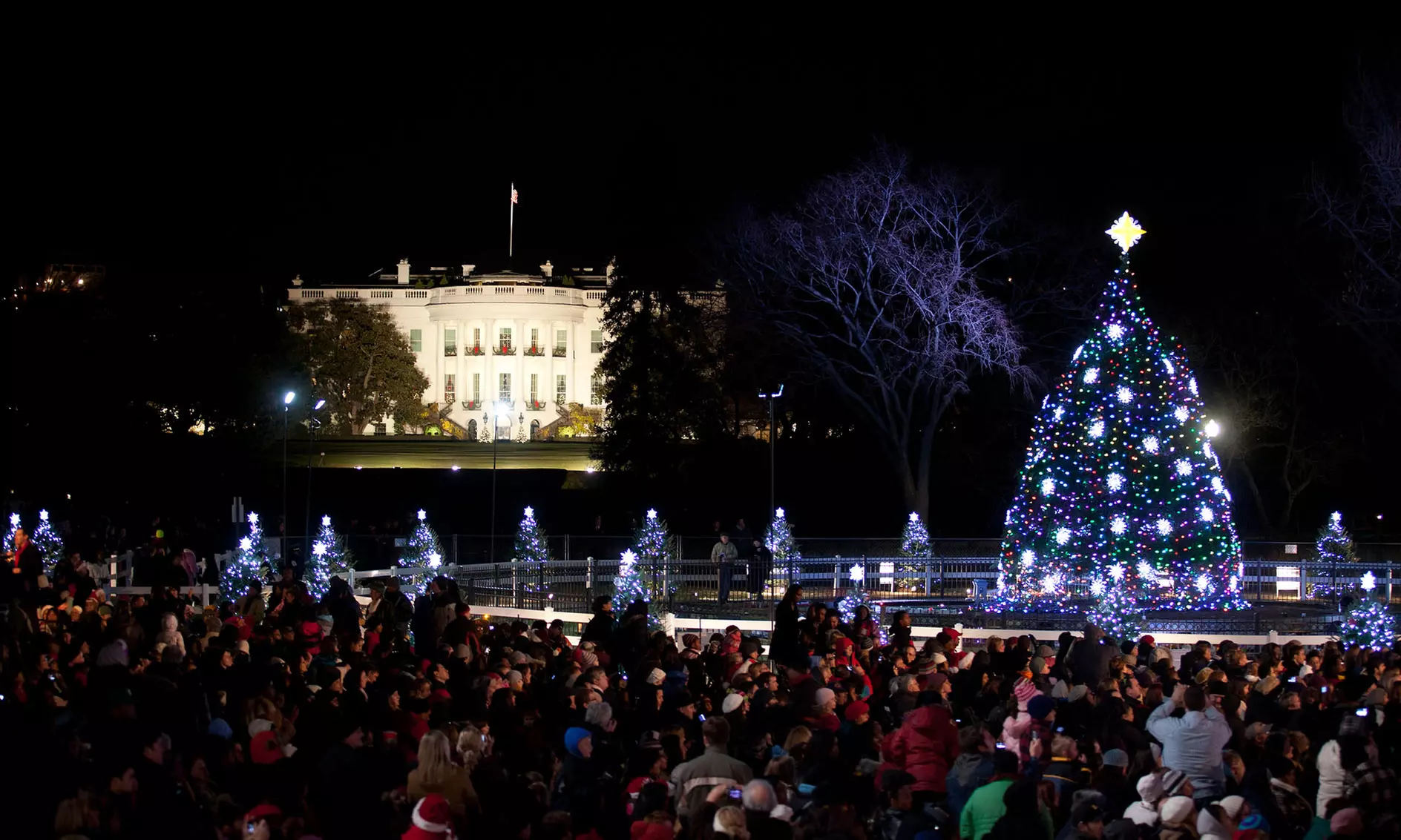 Holiday Lights Bus Tour Admission For One Adult or Child, Valid December 02 to December 31 (Up to 20% Off) - Primary Image