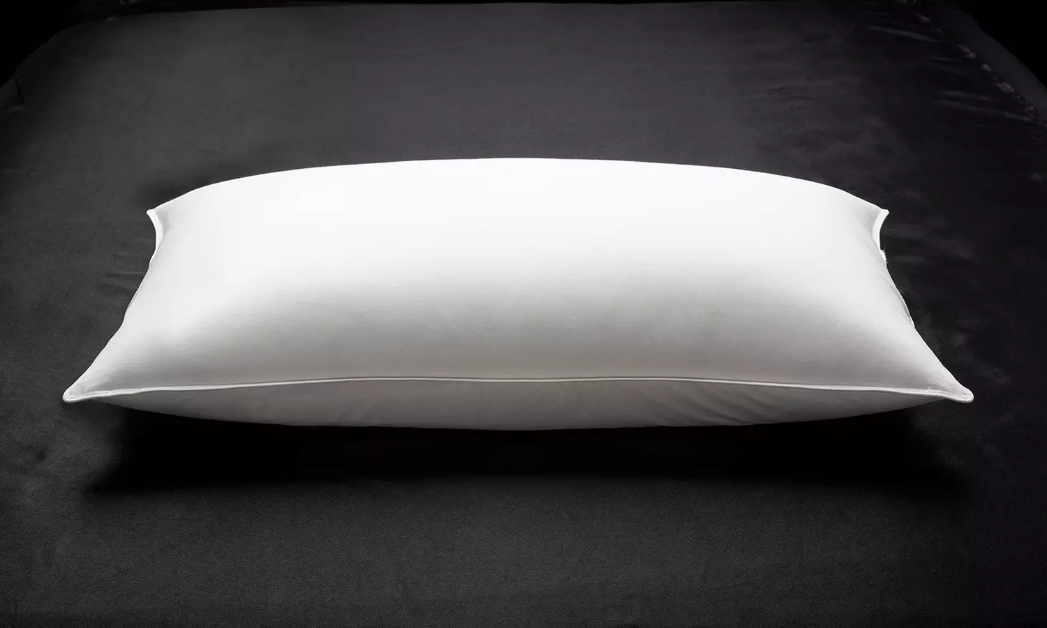DownSupply Side/Back Sleeper Plush Overstuffed 100% Certified RDS Down Pillow - Primary Image