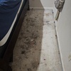 Image 8: Up to 58% Off on Carpet Cleaning at Aggro Carpet Cleaning