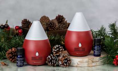 image for Mini Scentifier with Peppermint Essential Oil (2-Pack)