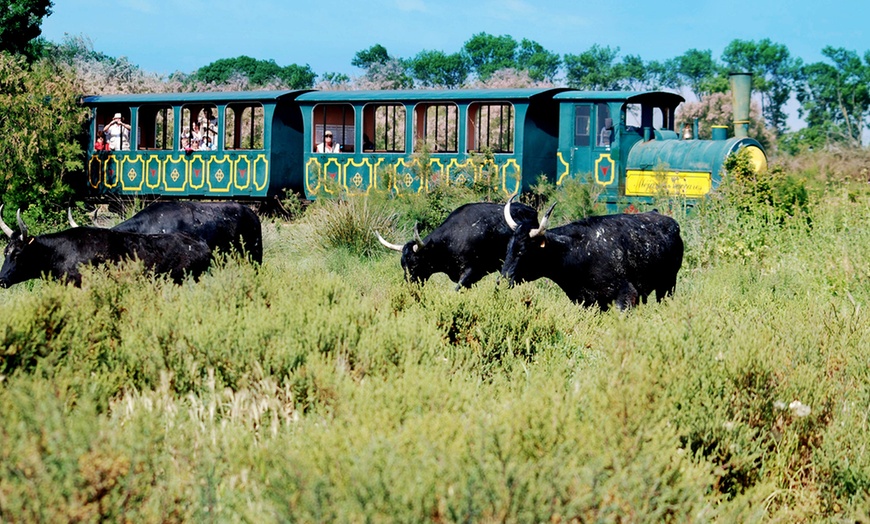 Image 1: Circuit en petit train en Camargue avec Manade de Méjanes