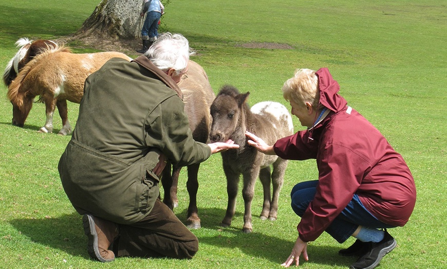 Image 8: Pony Centre, Entry For Two