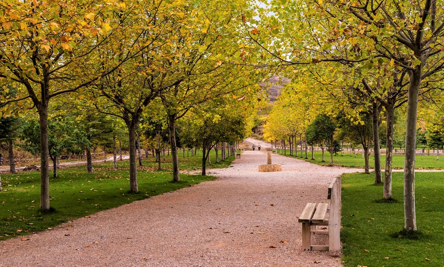 Image 11: Teruel: habitación doble con desayuno, cena de degustación y entradas