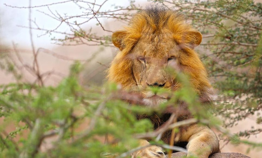 Image 6: Zoo and Learning Centre Entry: Child (AED 8), Adult (AED 25)