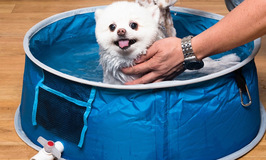 Image 5: Pop Up Pet Dog Bath and Pool 