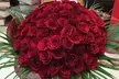 50, 100, 150 or 200 Single- or Mixed-Colour Roses and Card at Al Dar Roastery (Up to 55% Off) - Image 5