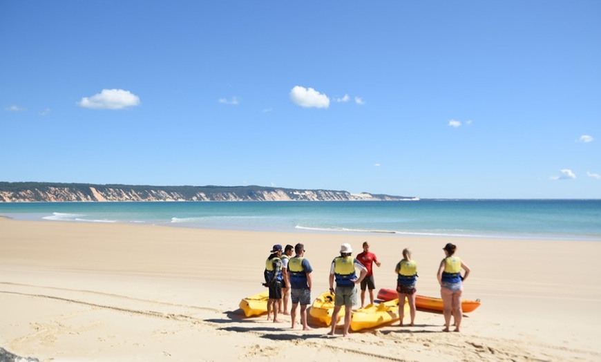 Image 12: Dolphin-View Kayak Tour or Private Day Tour to Double Island Point