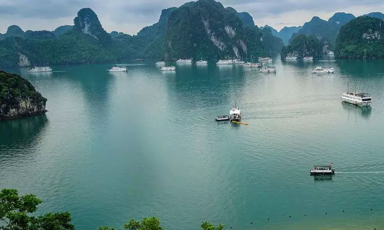 14-Day Vietnam Adventure: Stay, Cruise, Flights, Meals & Halong Tours!