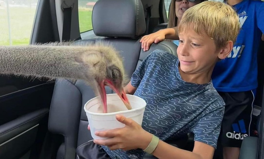 Image 5: Witness the Beauty of Wild Animals at Safari Park & Adventure Park.