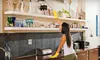 Three or Six Hours of Professional Housecleaning Services from The Personal Concierge (Up to 55% Off) 