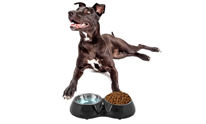 Image 3: Double Pet Bowl