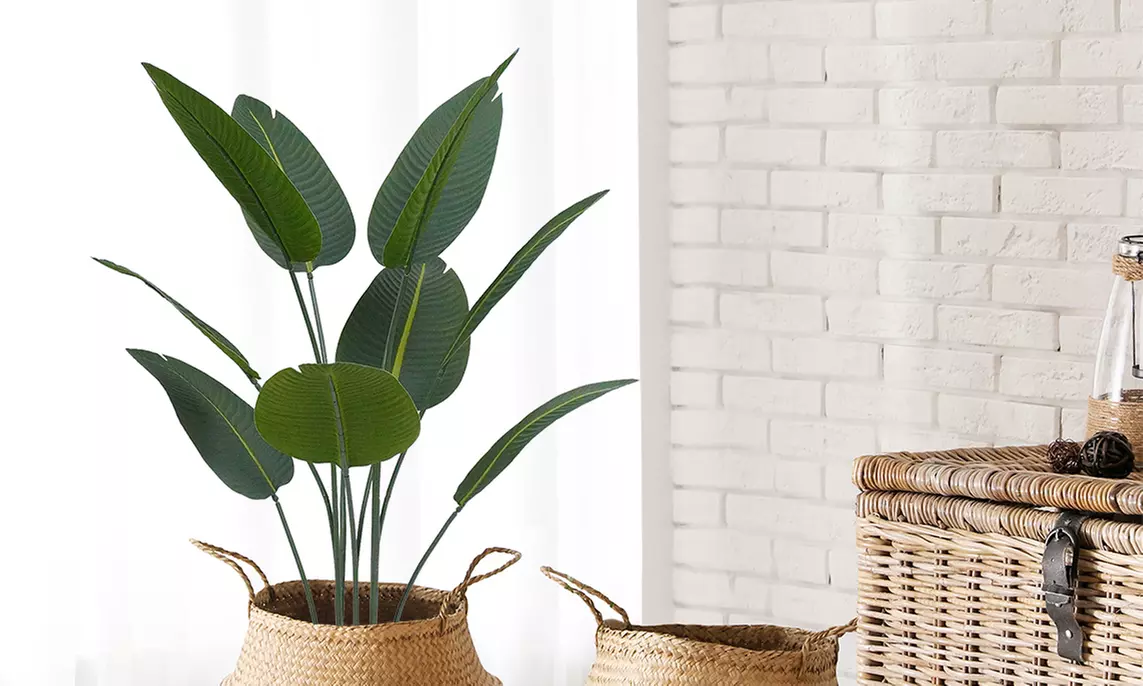 Collezione di piante finte da interno