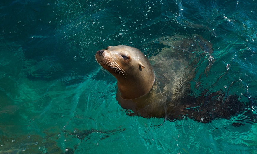 Image 8: Billet adulte ou enfant pour le Zoo d'Amneville