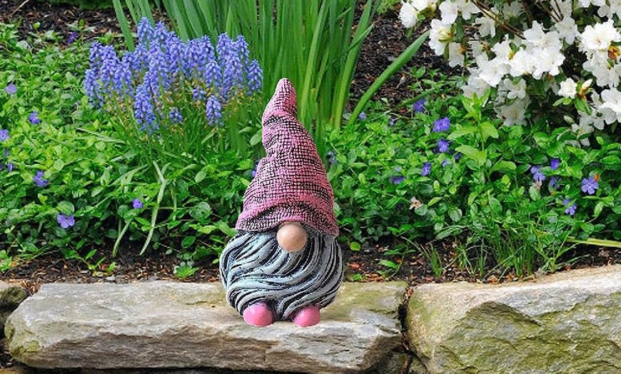 Image 8: One or Five Garden Gnomes