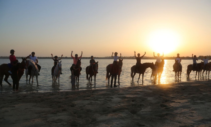 Image 6: Horse Riding Lesson