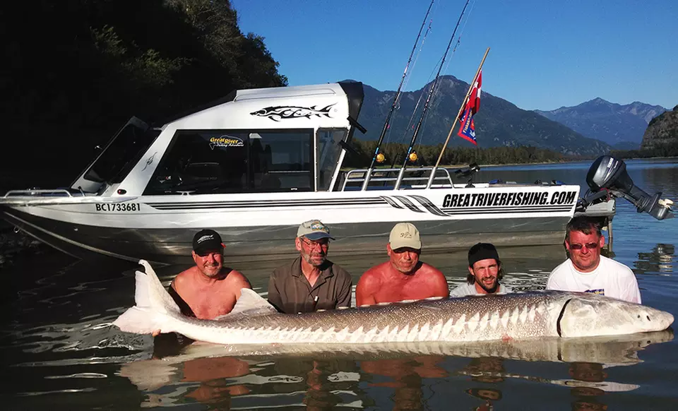 Sturgeon or Salmon Fishing Trips from Great River Fishing Adventures (Up to 61% Off) - Primary Image