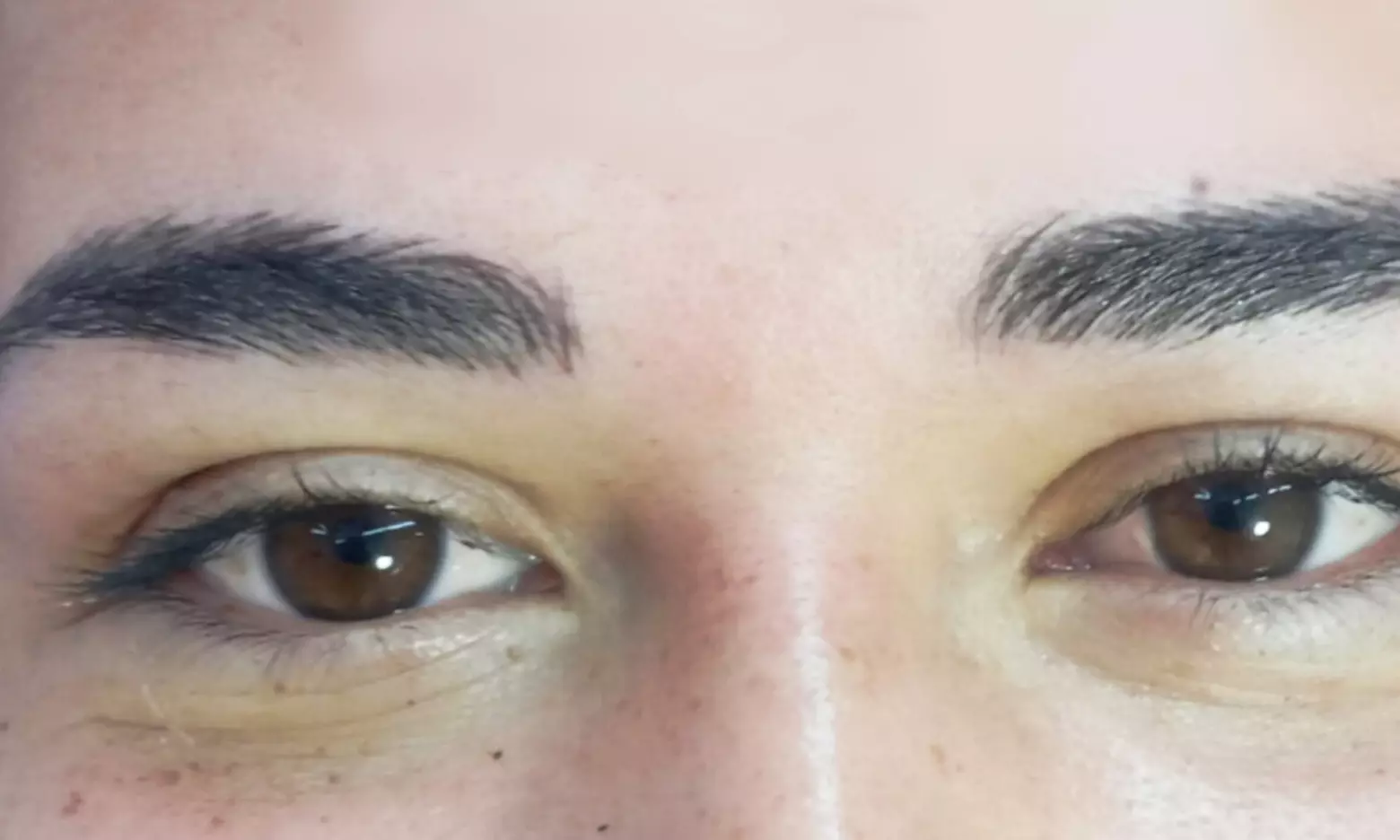 Microblading o microshading con diseño de cejas en Anita La Venezolana
