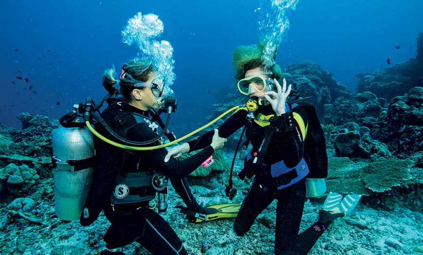 Image 1: Scuba Diving Course