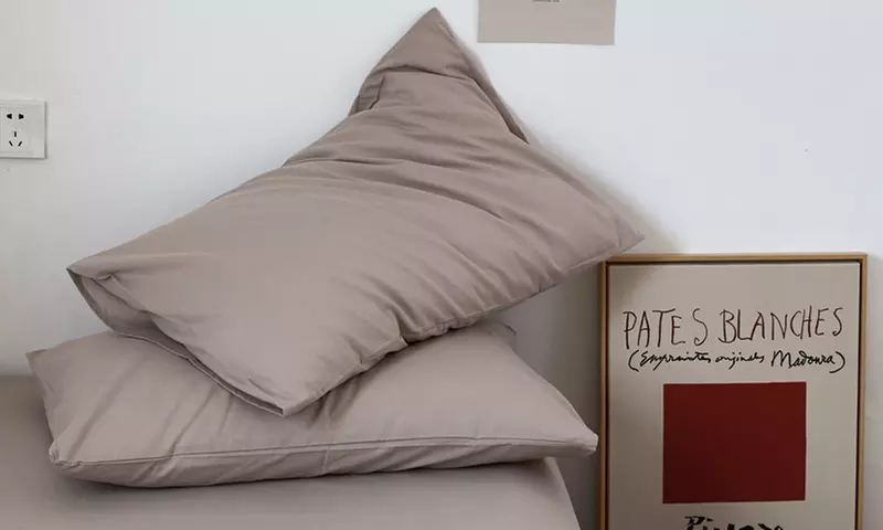 Pure Cotton 2 Piece Pillowcase Set