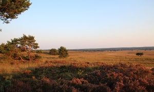 Nabij de Veluwe: tweepersoonskamer met ontbijt