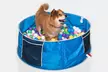 Coco Jojo Pop Up Pet Dog Bath and Pool - Second Medium