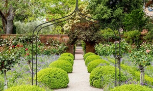 Heavy-Duty Decorative Garden Arch