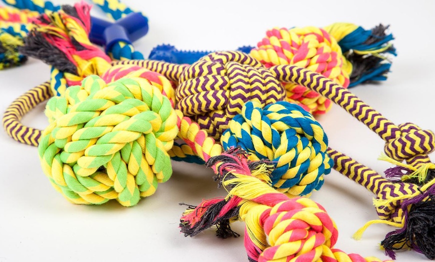 Image 3: Mixed Pack of 10 Dog Toys