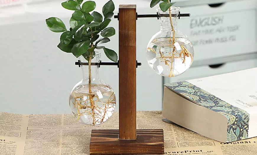 Image 4: One or Two Glass Planters for Indoor Plants