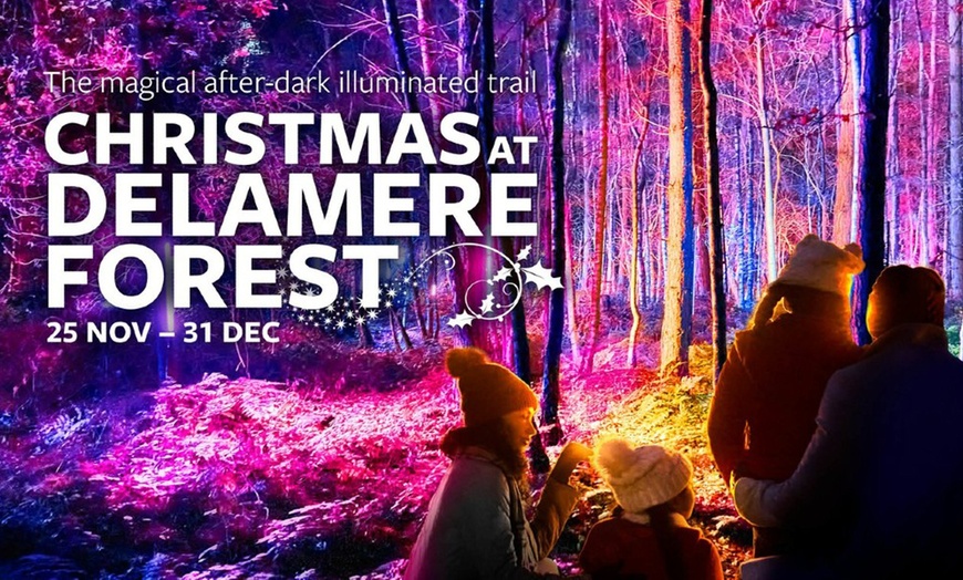 Image 1: Christmas at Delamere Forest: Child (£9.10) or Adult Entry (£13.65)